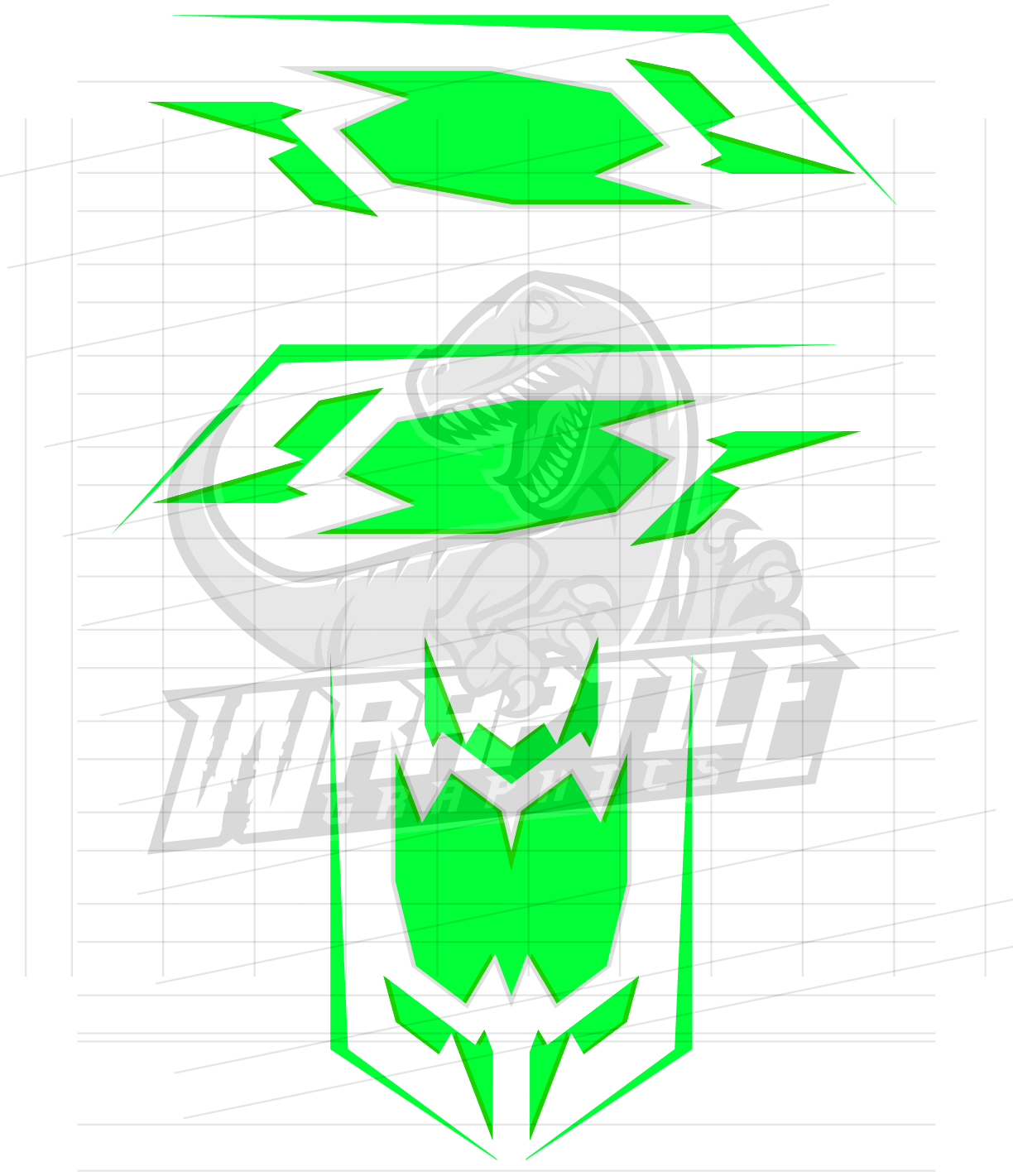 Vector Racing Graphics