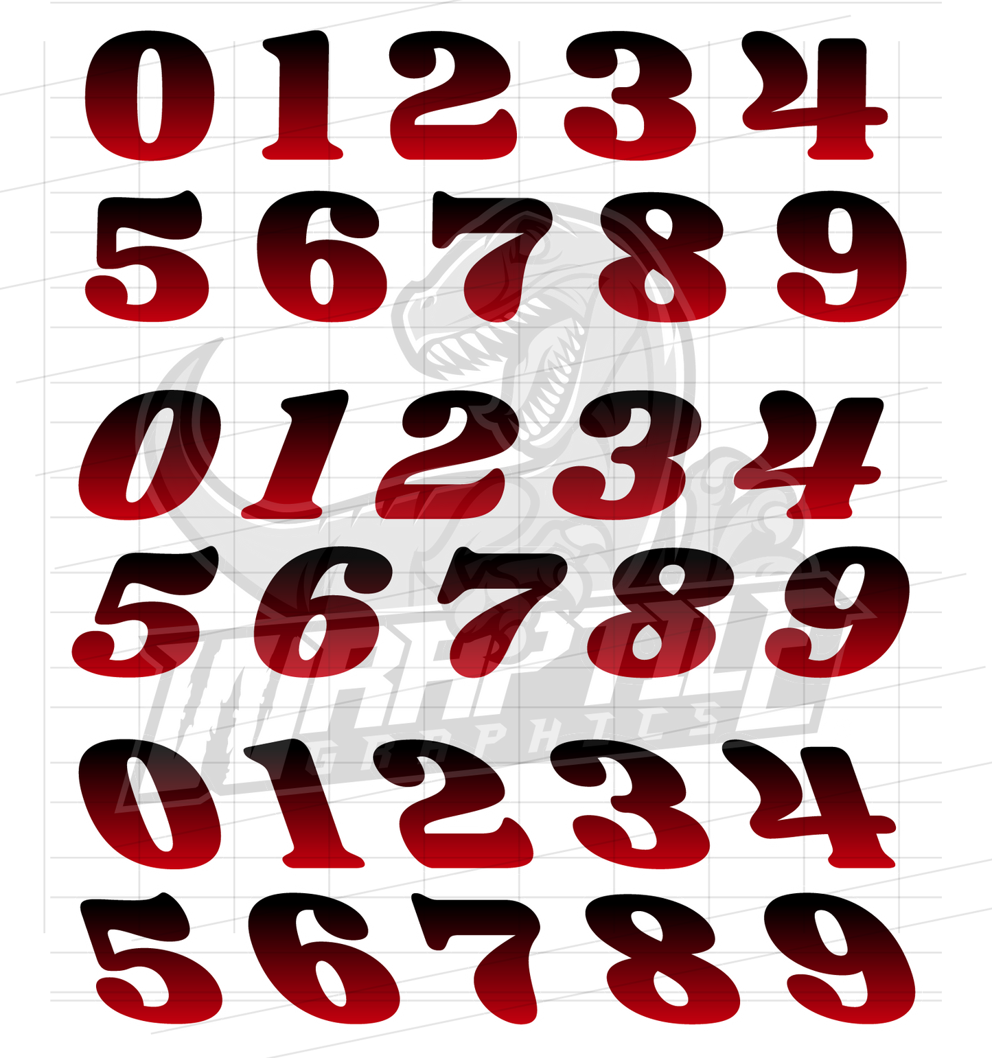 Vector Raing Graphics