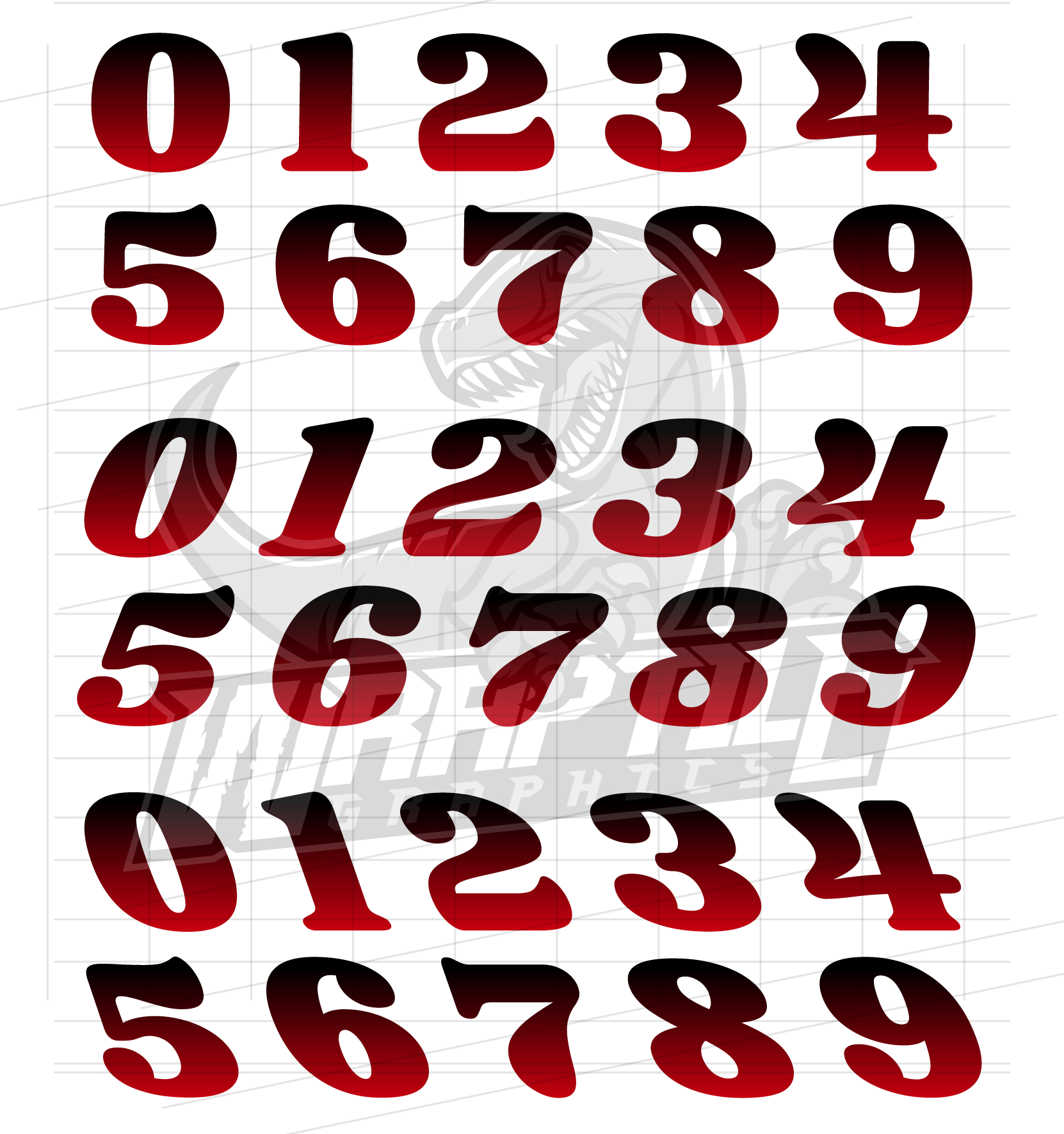 Vector Raing Graphics